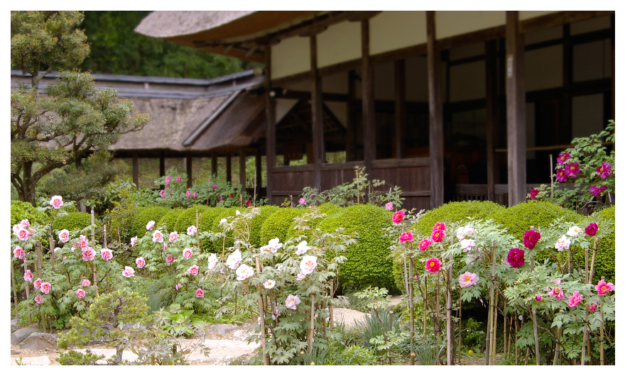 大雄寺