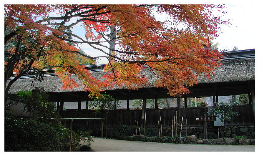 大雄寺